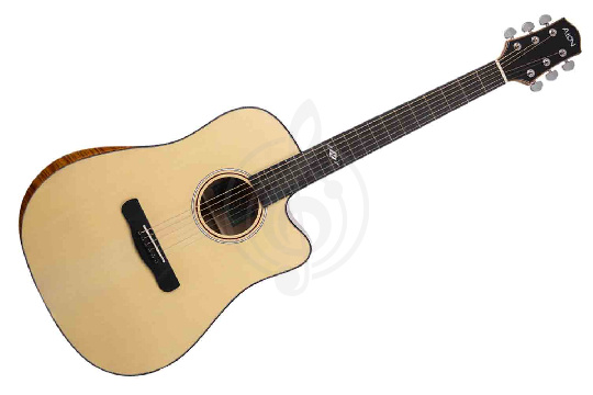 Изображение Акустическая гитара Aion Q20