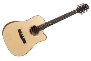 Изображение Акустическая гитара Aion Q20M