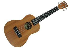 Изображение Alana U230C EQ - Укулеле концерт