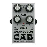 Изображение AMT Electronics Chameleon CAB CN-1 – гитарный эмулятор кабинета