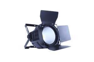 Изображение ART WIZARD LED-200CW/WW (2in1) COB PAR - светодиодный прожектор