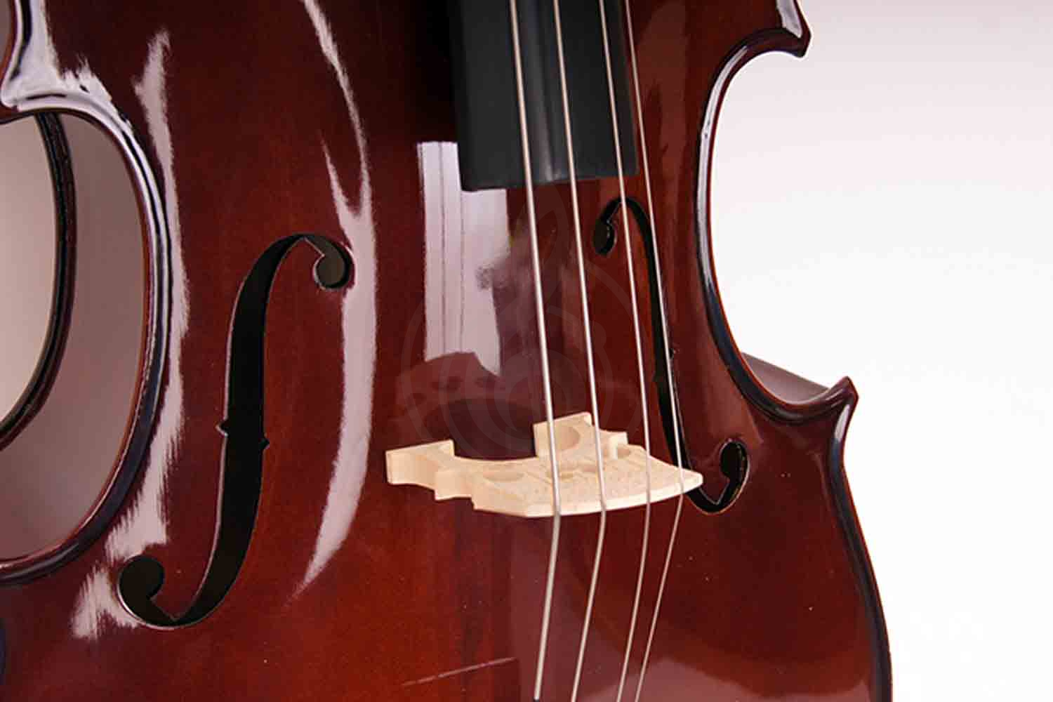 - фото 7   - фото 7