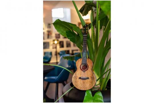 Укулеле тенор  - фото 11