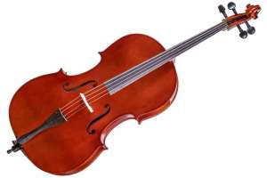 Изображение Gliga B-C044-L Beginer Genial 2 Nitro Laminated - Виолончель 4/4