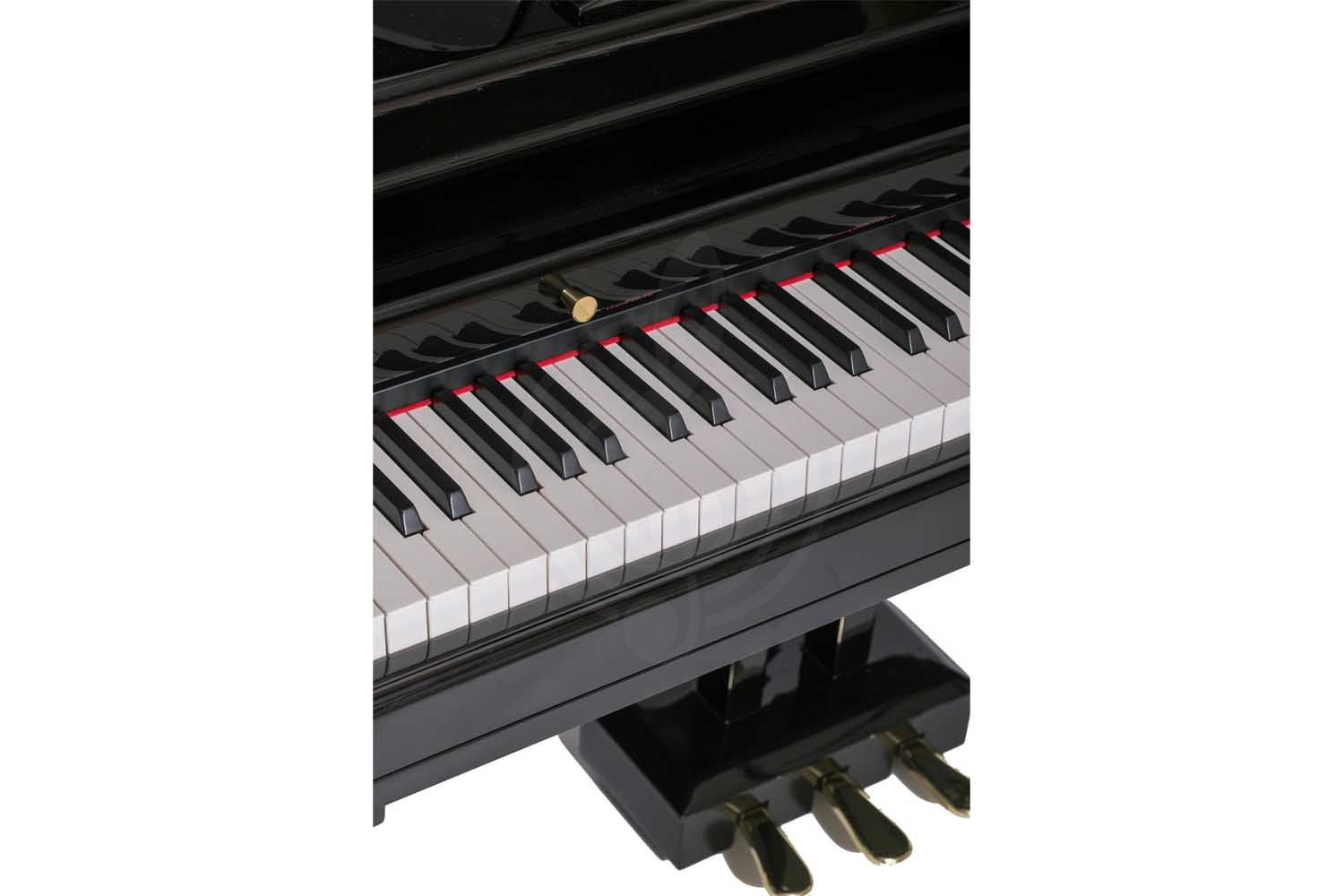 Цифровой рояль  - фото 6