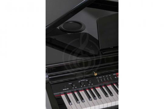 Цифровой рояль  - фото 10