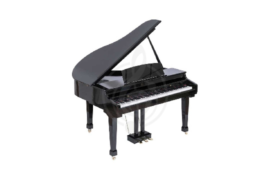 Изображение Grand-500-BLACK Цифровой рояль