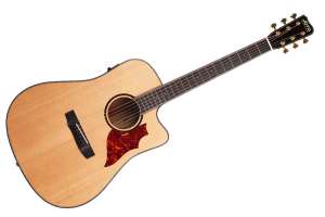 Изображение Joyo JWGT-02 - Гитара трансакустическая