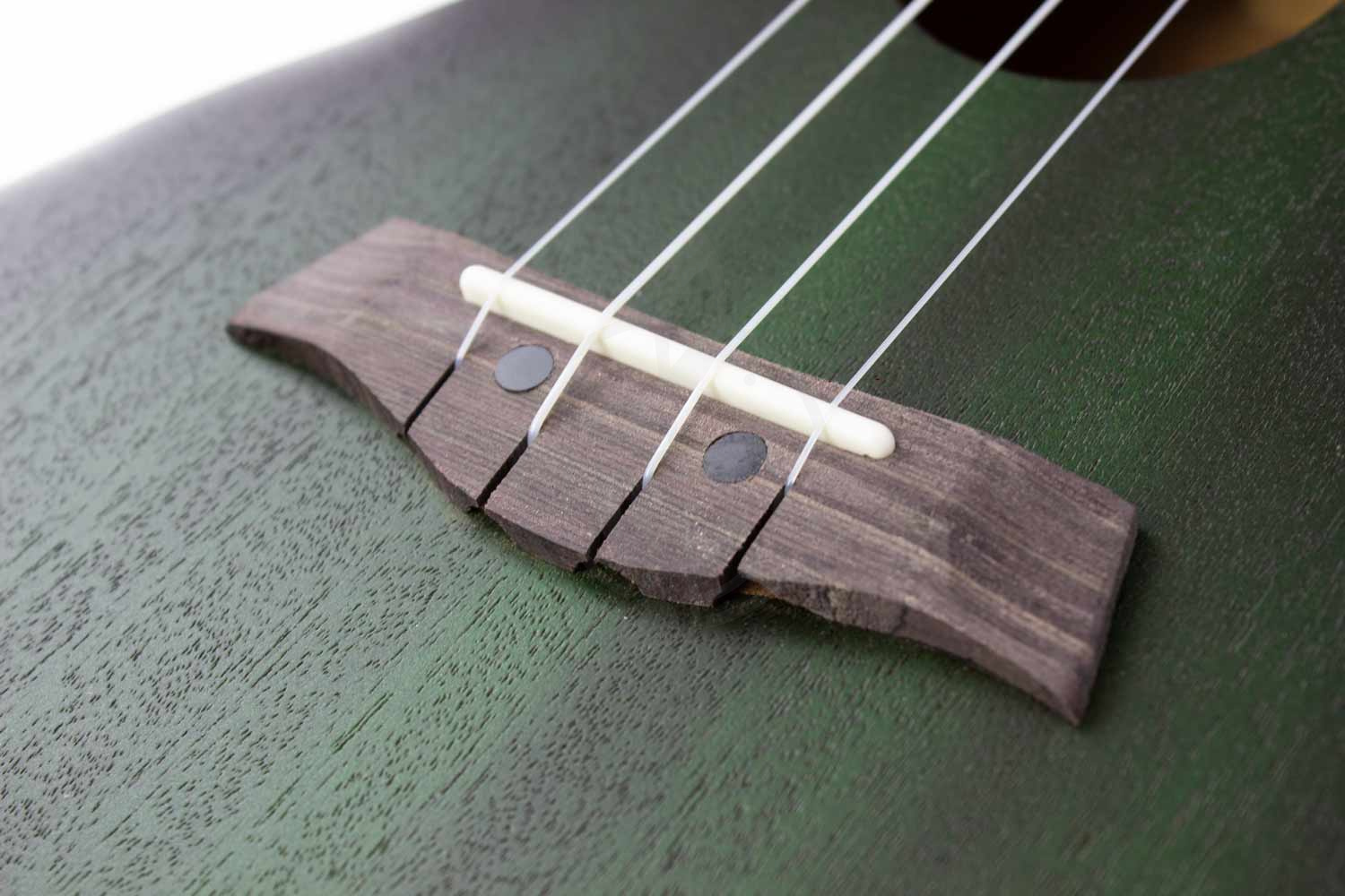 Укулеле концерт  - фото 7