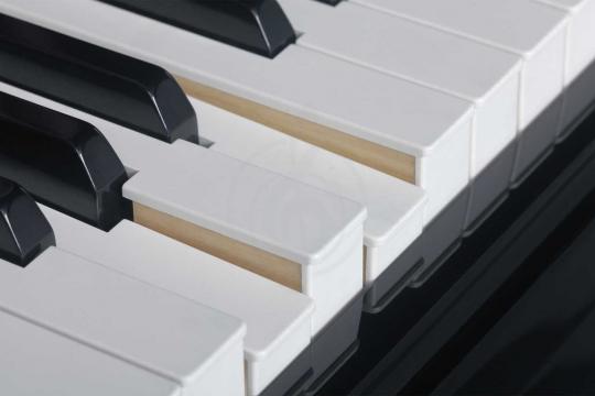 Цифровой рояль  - фото 7