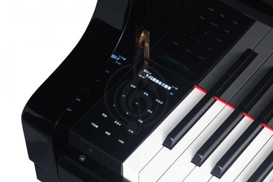Цифровой рояль  - фото 10