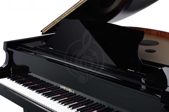 Цифровой рояль  - фото 12