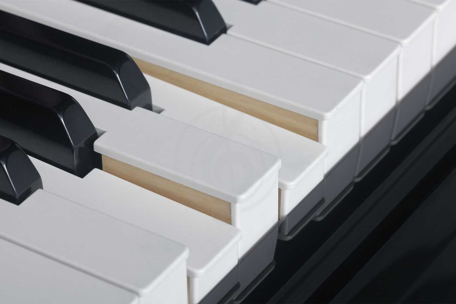 Цифровой рояль  - фото 7