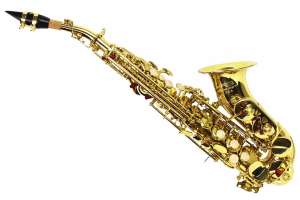 Изображение Mercury SSN-301 - Саксофон сопрано Bb