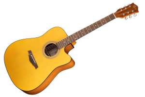 Изображение Акустическая гитара Ramis RA-G02C
