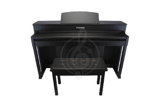 Изображение РФМИ DP500BK
