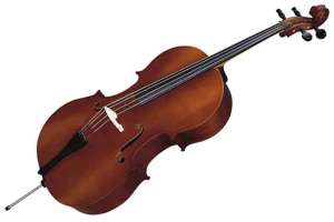 Изображение Strunal 40/4C-4/4 - Виолончель студенческая