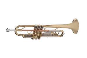 Изображение VIVOTON standart - Труба