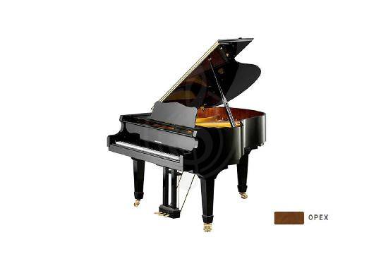 Изображение W. Hoffmann Vision V 158 WAP - Рояль акустический, цвет орех, полированный