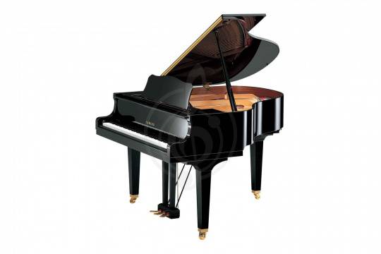 Изображение Yamaha GB1K PE - Рояль акустический, цвет черный