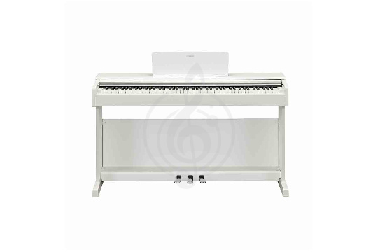 Изображение YAMAHA YDP-145WH